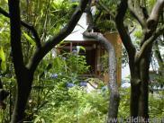 thm_DSC00084.jpg