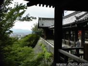 thm_DSC00699.jpg